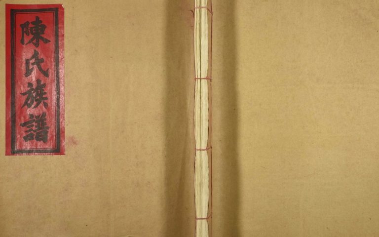 1996年陈氏族谱信丰陈嘉会公派下七修玉牒 江西赣州陈氏完整电子版家谱下载