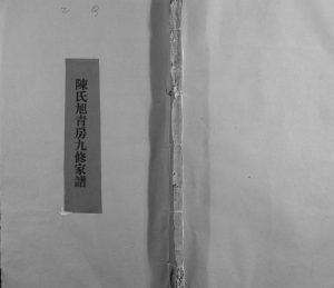 1863年高街陈氏旭青房九修族谱 江西宁都陈氏完整电子版家谱下载