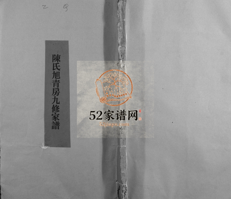 1863年高街陈氏旭青房九修族谱 江西宁都陈氏完整电子版家谱下载