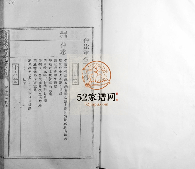 1863年高街陈氏旭青房九修族谱 江西宁都陈氏完整电子版家谱下载