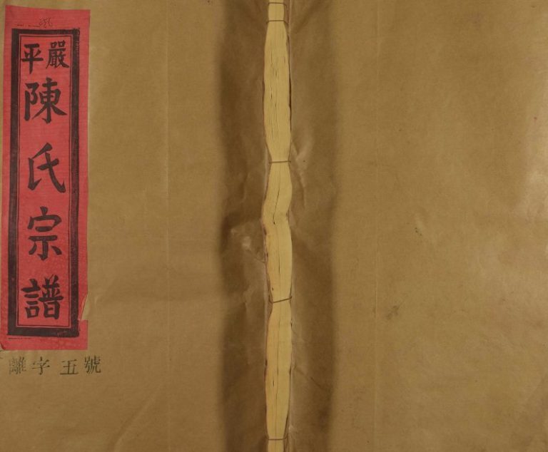 1989年修严平陈氏宗谱[不分卷]江西抚州友谊堂陈氏完整电子版族谱下载