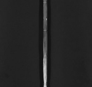1879年修程氏宗谱[残卷]江西程氏电子版族谱下载