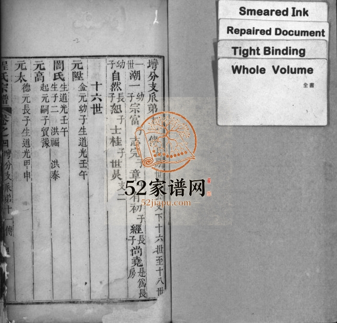 1879年修程氏宗谱[残卷]江西程氏电子版族谱下载