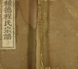 1875年修种德程氏宗谱 江西婺源程氏电子版族谱下载