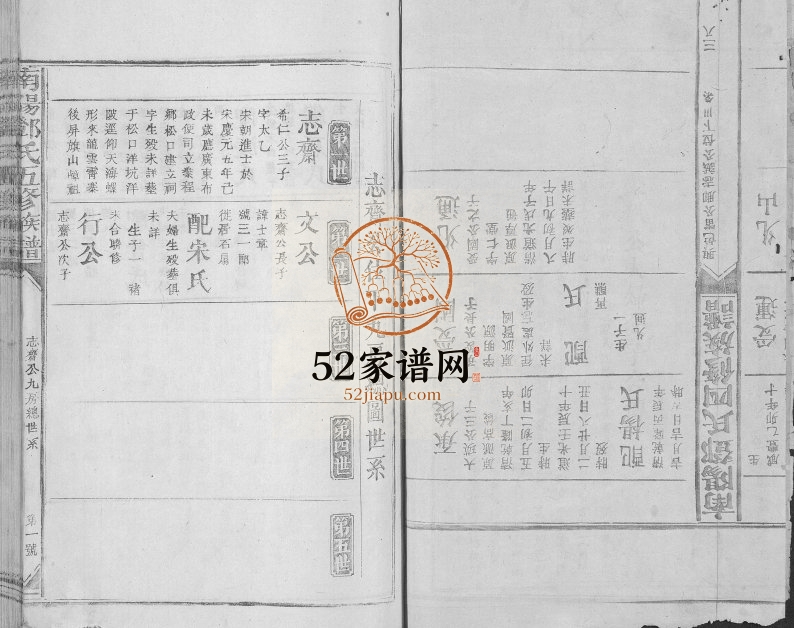 1947年南阳邓氏五修族谱[总卷数不详]广东梅县 江西于都邓氏电子版家谱下载