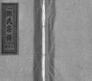 1991年九修邓氏宗谱[5卷首1卷]福建建宁 漳浦 江西广信十贤堂邓氏完整电子版族谱下载