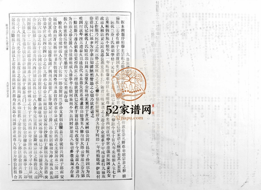 1996年江西省赣县兰芬丁氏九修族谱[12卷]全套完整电子版家谱下载