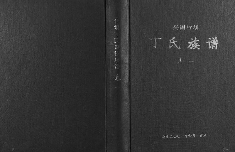2001年兴国竹坝丁氏四修族谱 江西丁氏全套完整电子版家谱下载