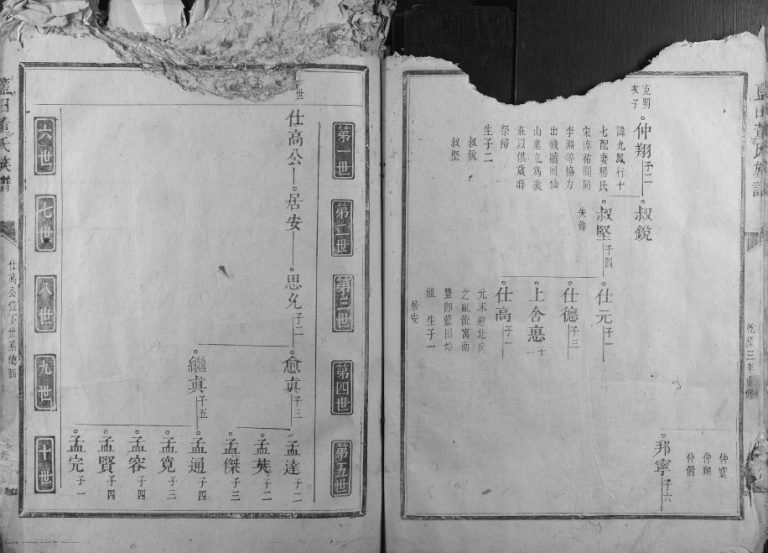 1739年修蓝田董氏族谱[1卷]江西南丰 福建建宁董氏完整电子版家谱下载