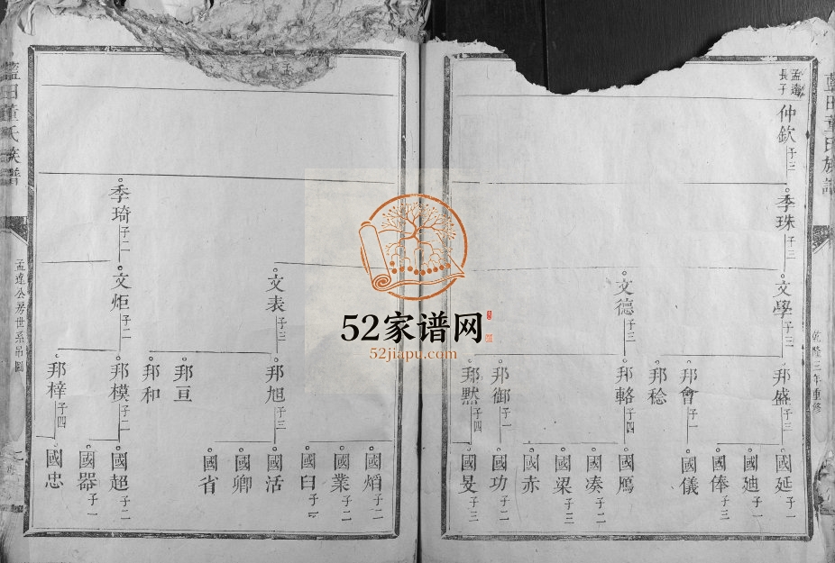 1739年修蓝田董氏族谱[1卷]江西南丰 福建建宁董氏完整电子版家谱下载