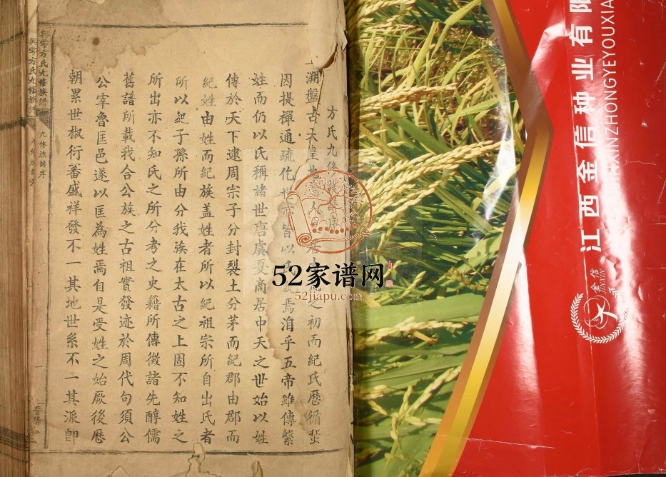 1947年兴雩方氏九修族谱 江西赣州 兴国 于都晋阳堂方氏完整电子版家谱下载