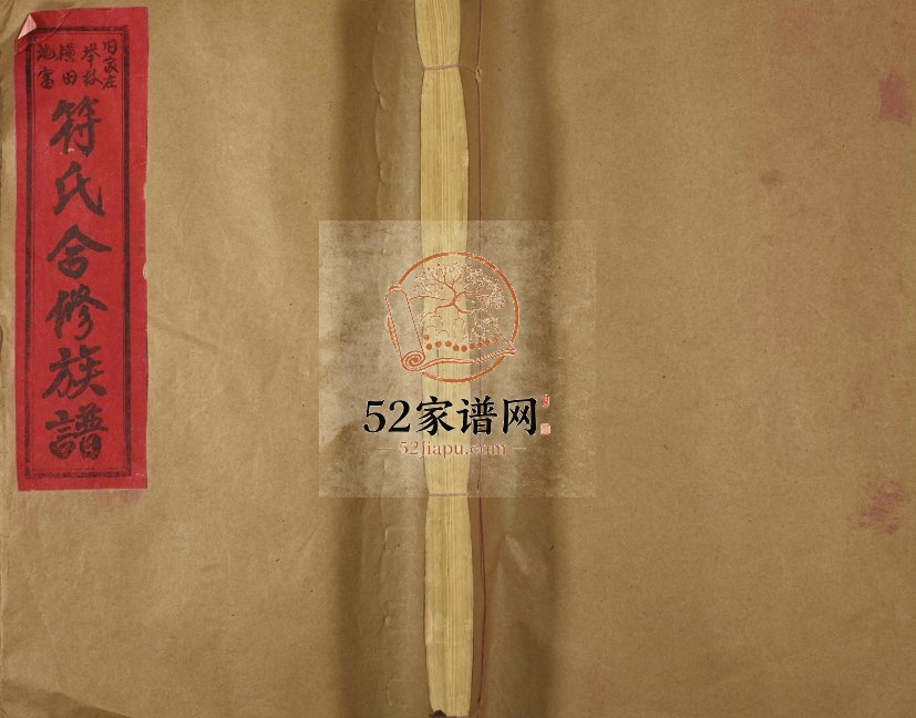 1994年旧家庄举林横田池富符氏合修族谱 江西宁都 广昌 横田 永丰符氏完整电子版家谱下载