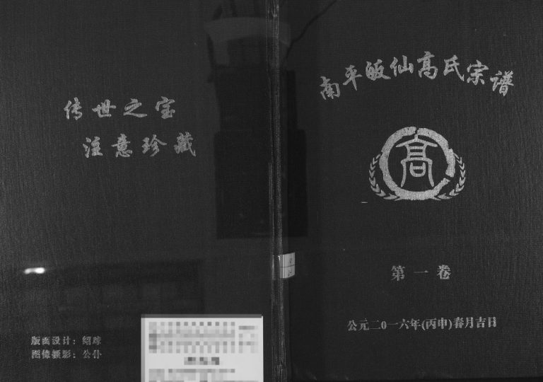 2016年修南平皈先高氏族谱 江西吉安高氏完整电子版家谱下载
