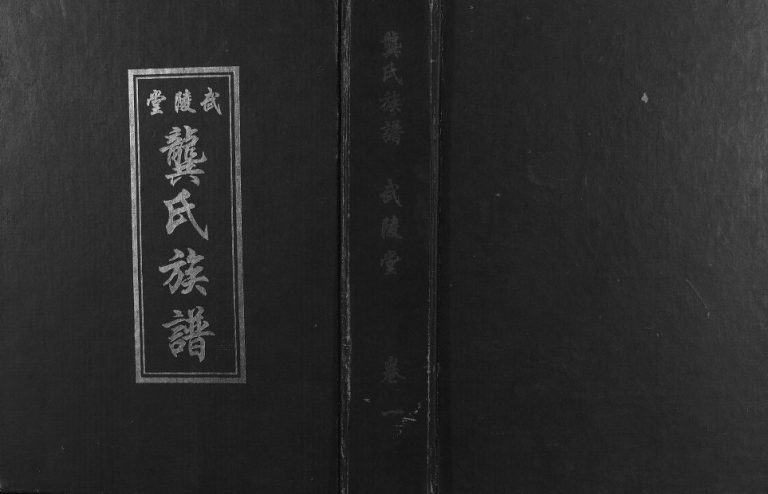 1999年武陵堂龚氏七修族谱[8卷]江西安远 南康 信丰 广东兴宁 梅县 河源 韶关 南雄 清远电子版家谱下载