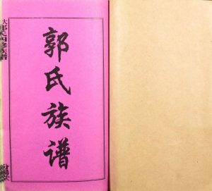 2001年大湄郭氏四修族谱 江西乐安 湖南双峰汾阳堂郭氏电子版家谱下载