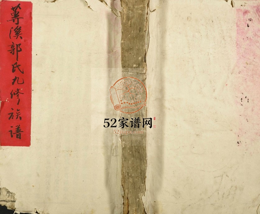 1925年莼溪郭氏重修族谱 江西赣州清江郭氏九修完整电子版家谱下载