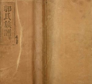 1913年修郭氏族谱 江西南昌 丰城 湖北石首汾阳堂郭氏完整电子版家谱下载