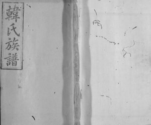 1921年修南阳堂合修韩氏族谱 江西 广东 湖南 浙江韩胤后裔电子版家谱下载