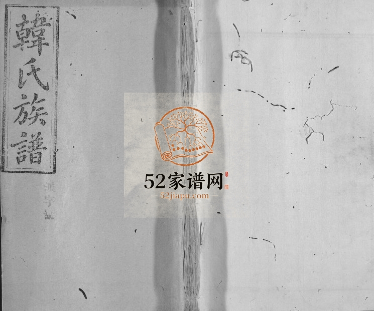 1921年修南阳堂合修韩氏族谱 江西 广东 湖南 浙江韩胤后裔电子版家谱下载
