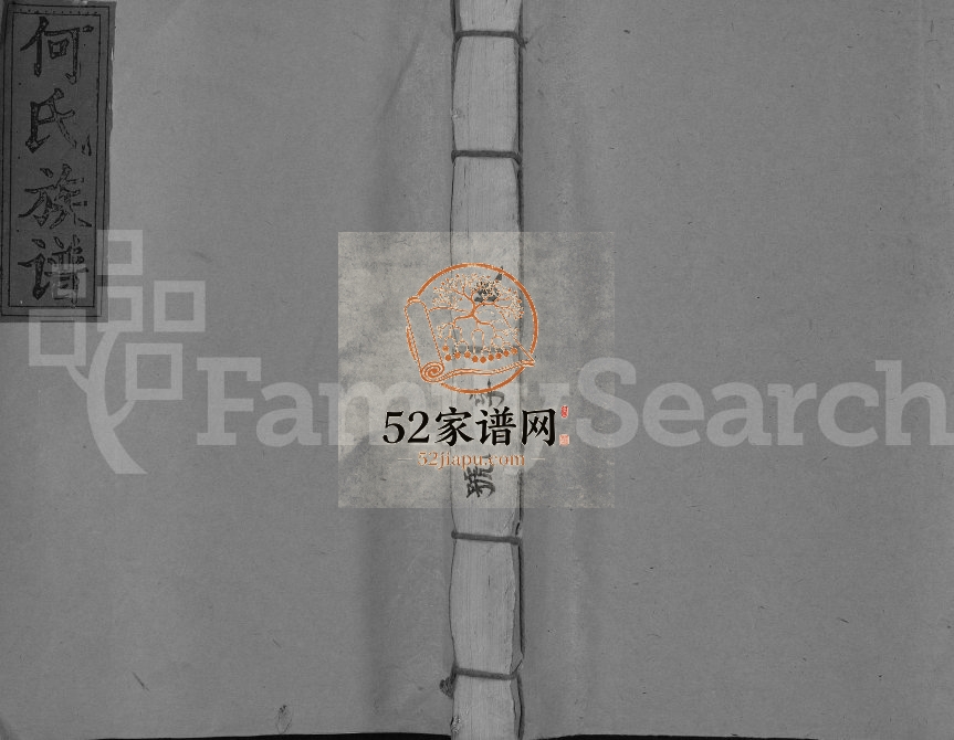 1993年何氏五次联修族谱[卷数未列]江西赣县 于都 萍乡何氏电子版家谱下载