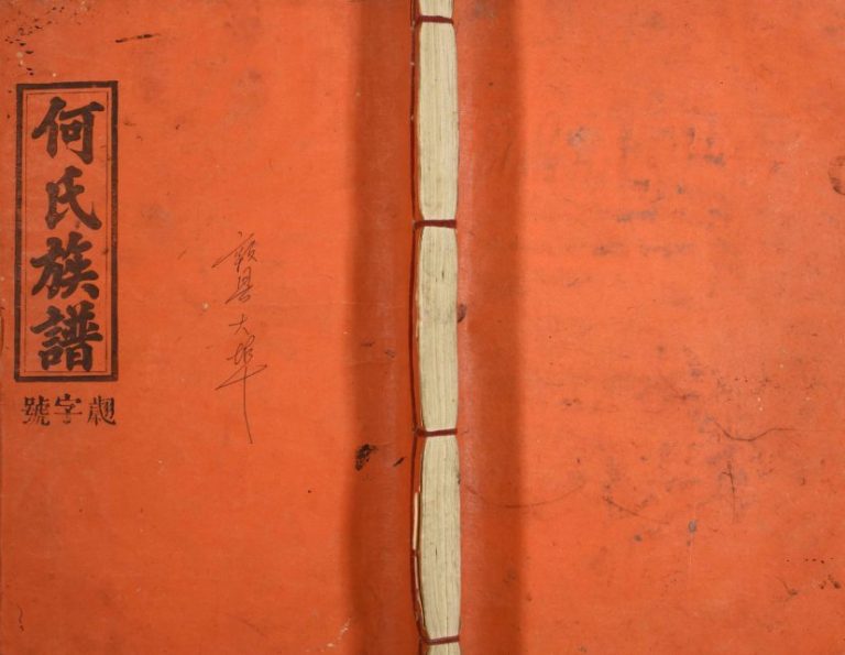 1910年修何氏族谱 江西安远 寻乌庐江堂何氏完整电子版家谱下载