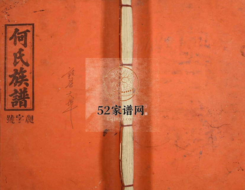 1910年修何氏族谱 江西安远 寻乌庐江堂何氏完整电子版家谱下载