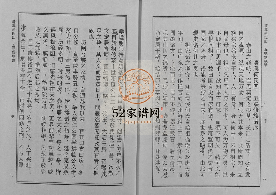 1998年清溪何氏四五联修族谱[25卷]江西赣县区 宁都何氏完整电子版家谱下载