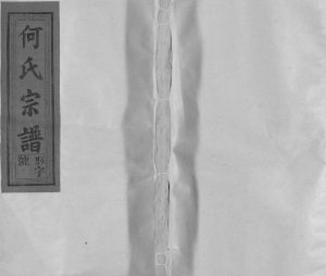 2003年修卢江何氏宗谱[3卷首1卷]江西广信何氏完整电子版族谱下载