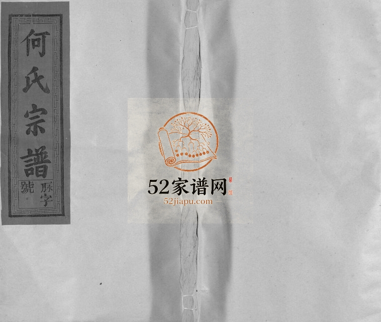 2003年修卢江何氏宗谱[3卷首1卷]江西广信何氏完整电子版族谱下载