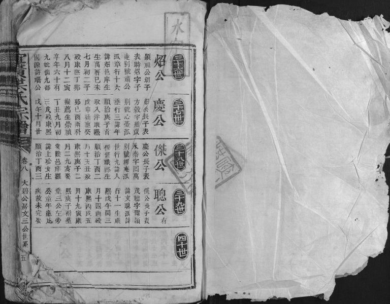 1737年修宜黄洪氏宗谱 江西宜黄洪氏电子版族谱下载