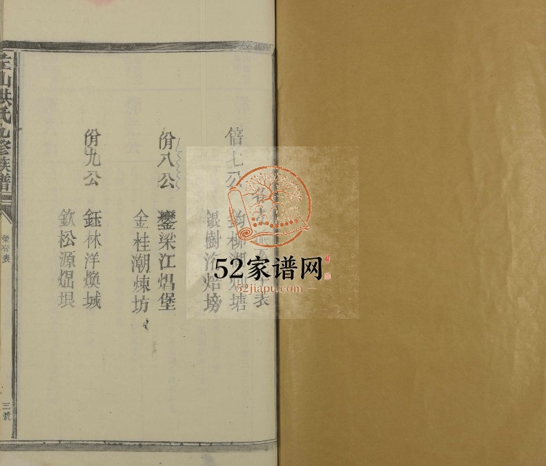 1993年左山洪氏九修族谱[不分卷]江西进贤 崇仁洪氏完整电子版家谱下载