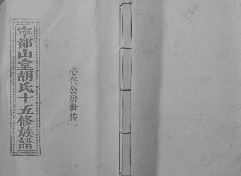 1997年宁都山堂胡氏十五修族谱 江西胡氏完整电子版家谱下载