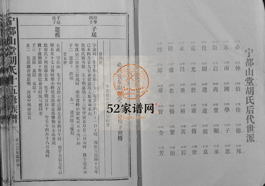 1997年宁都山堂胡氏十五修族谱 江西胡氏完整电子版家谱下载