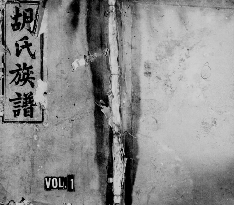 1887年修桂竹坑胡氏族谱[2卷]江西瑞金胡氏完整电子版家谱下载