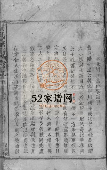 1929年华林胡氏族谱[12卷首1卷]江西都昌双贤堂胡氏电子版族谱下载