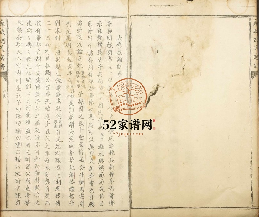 1925年修芗城胡氏族谱 江西青原胡氏完整电子版家谱下载