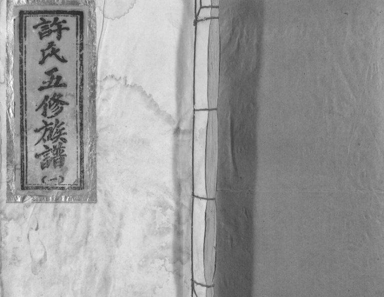1995年许氏琳公仁祥房五修族谱 江西于都许氏完整电子版家谱下载