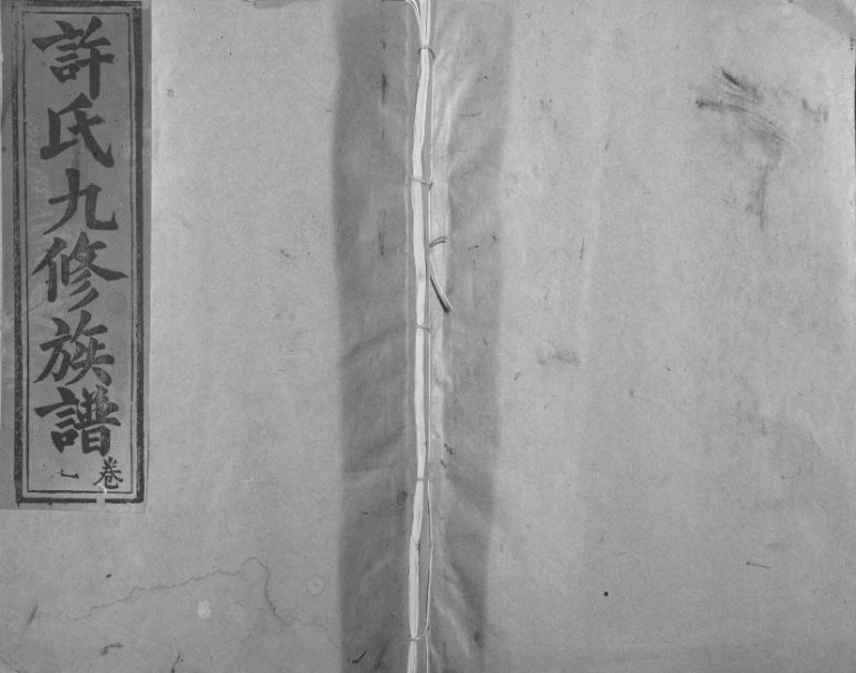 1994年高阳许坊许氏九修家谱[21卷]江西石城许氏电子版族谱下载