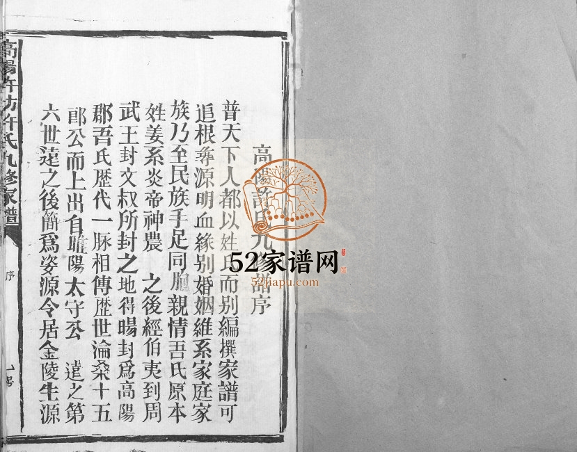 1994年高阳许坊许氏九修家谱[21卷]江西石城许氏电子版族谱下载
