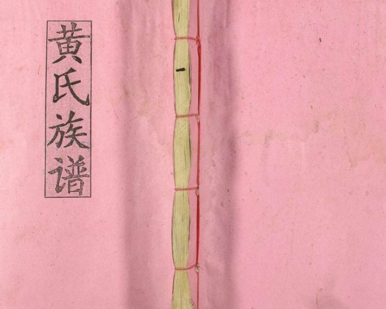 1995年水东黄氏六修族谱[5卷]江西兴国黄氏完整电子版家谱下载