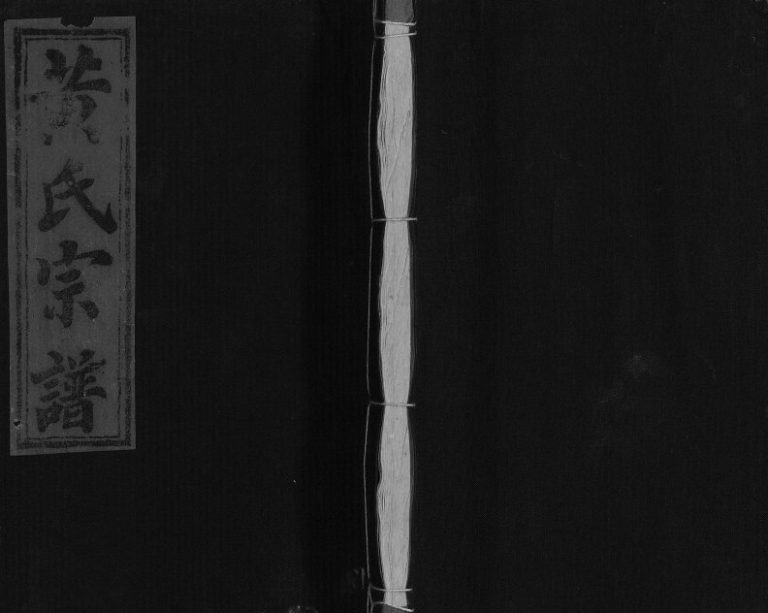 1989年九修黄氏宗谱 江西湖口黄氏完整电子版族谱下载