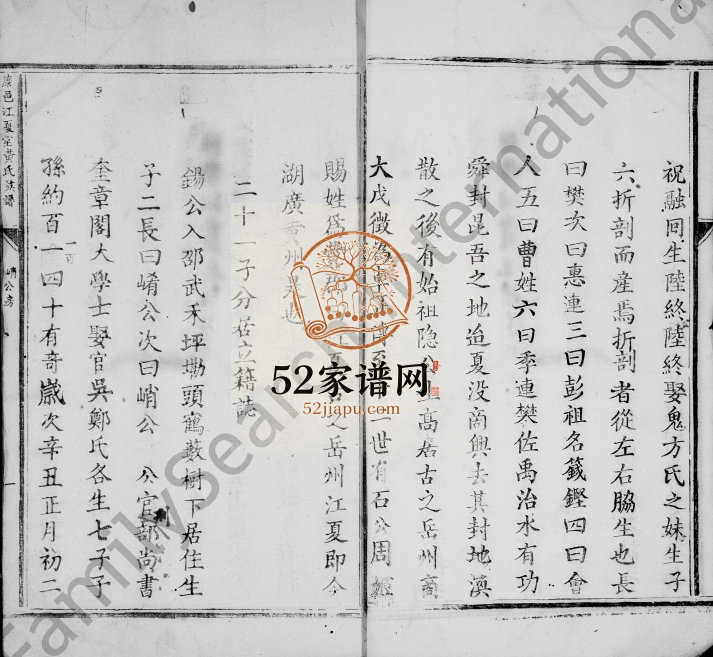 1911年修黄氏族谱 江西南康江夏堂黄氏完整电子版家谱下载