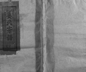 1994年修姜氏宗谱[13卷首1卷]江西上饶姜氏电子版族谱下载