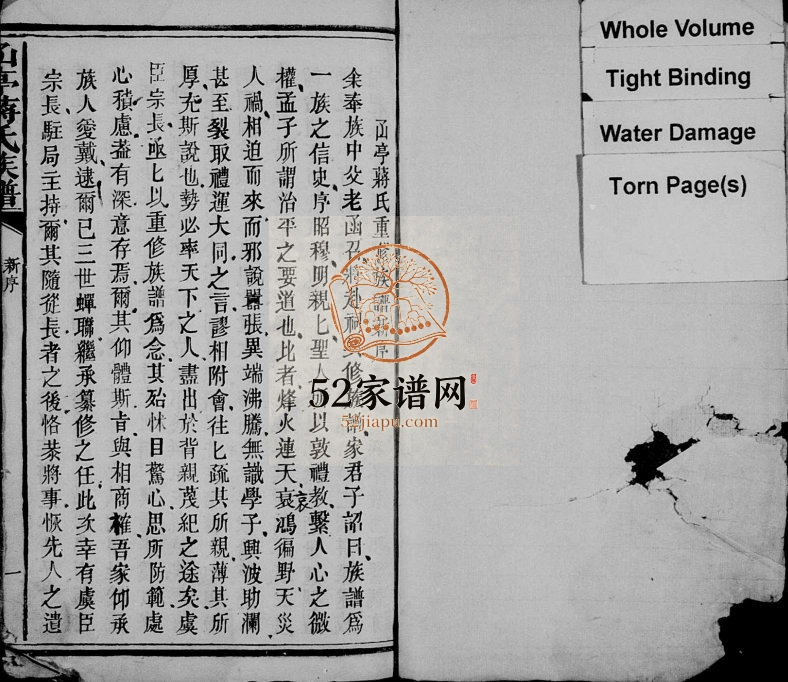 1932年修𠙶亭蒋氏族谱 江西丰城蒋氏完整电子版家谱下载