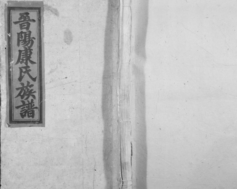 1944年晋阳康氏合修族谱[11卷]江西泰和康氏完整电子版家谱下载