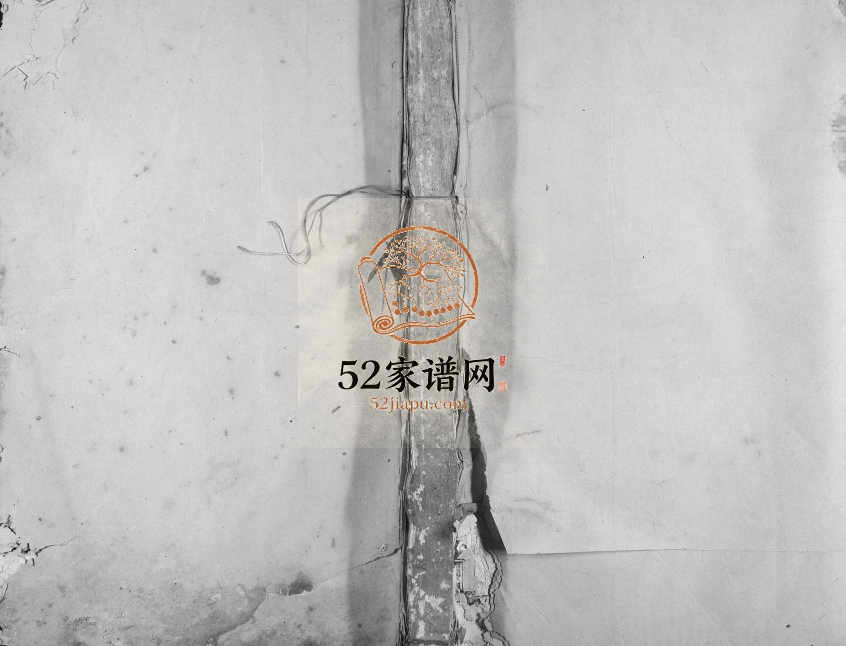 1914年蒲田康氏重修族谱[3卷]江西泰和康氏完整电子版家谱下载
