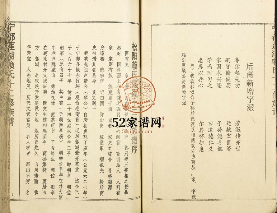 1995年宁都莲湖赖氏十二修族谱 江西赣州赖氏完整电子版家谱下载