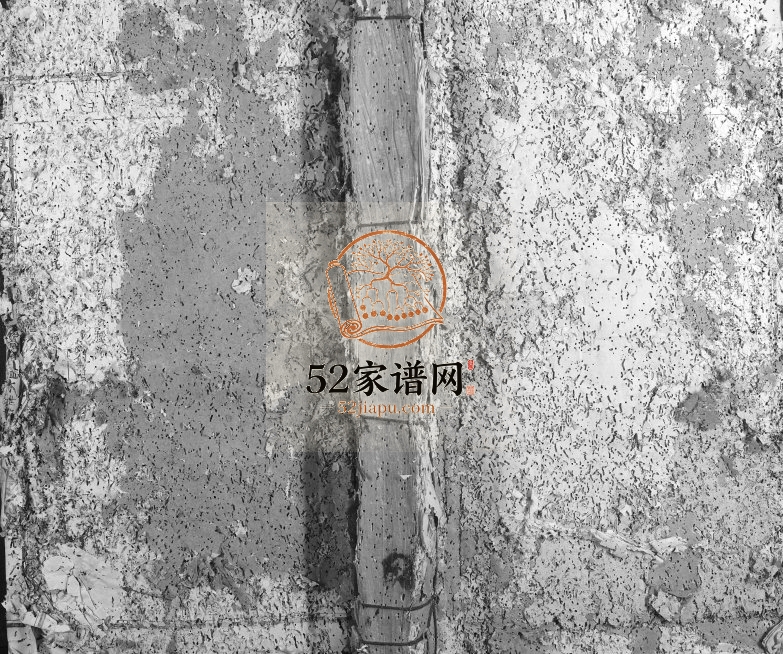 1905年松阳赖氏四修族谱 江西赣州府兴国县衣锦乡赖氏电子版家谱下载