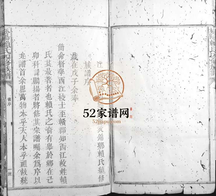 1905年松阳赖氏四修族谱 江西赣州府兴国县衣锦乡赖氏电子版家谱下载