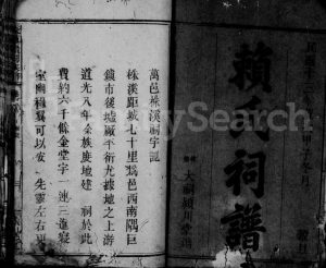 1924年重修株镇赖祠族谱[2卷]江西万载颖川堂赖氏电子版家谱下载